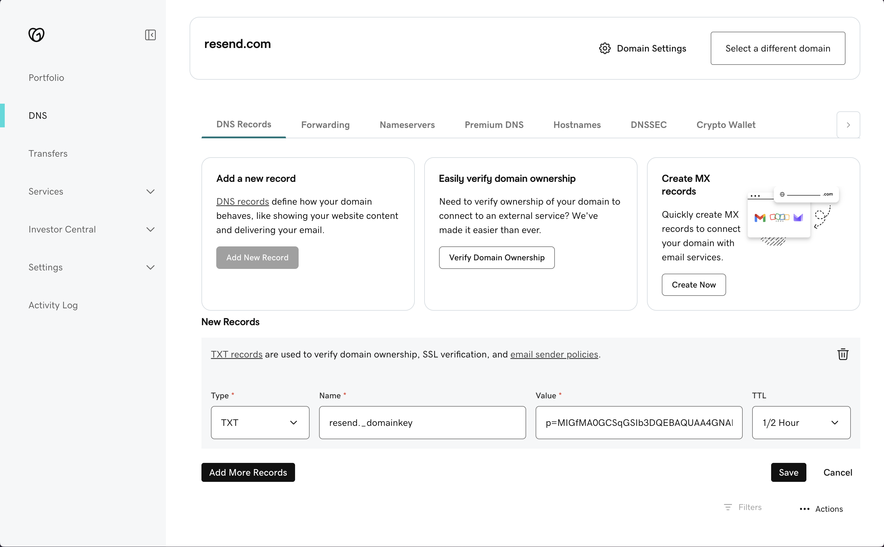 Domain Details