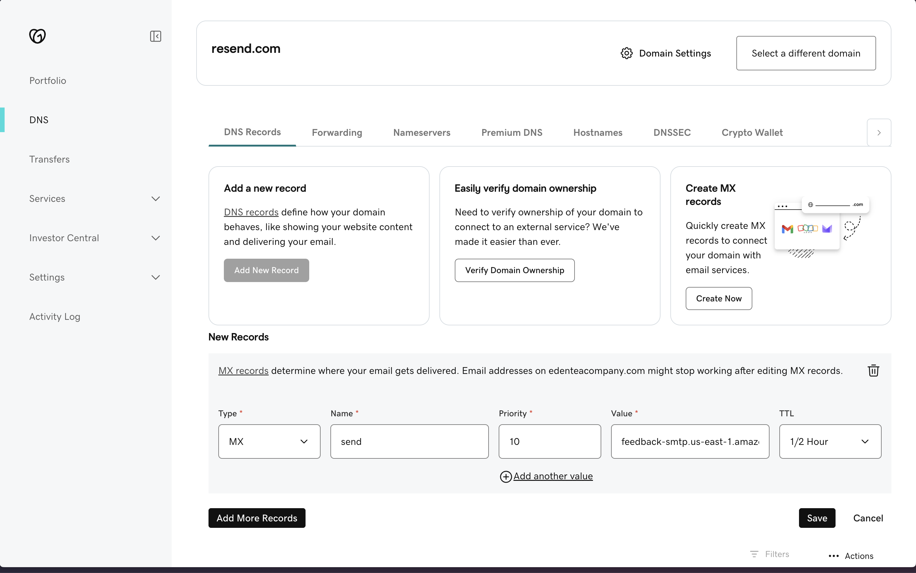 Domain Details