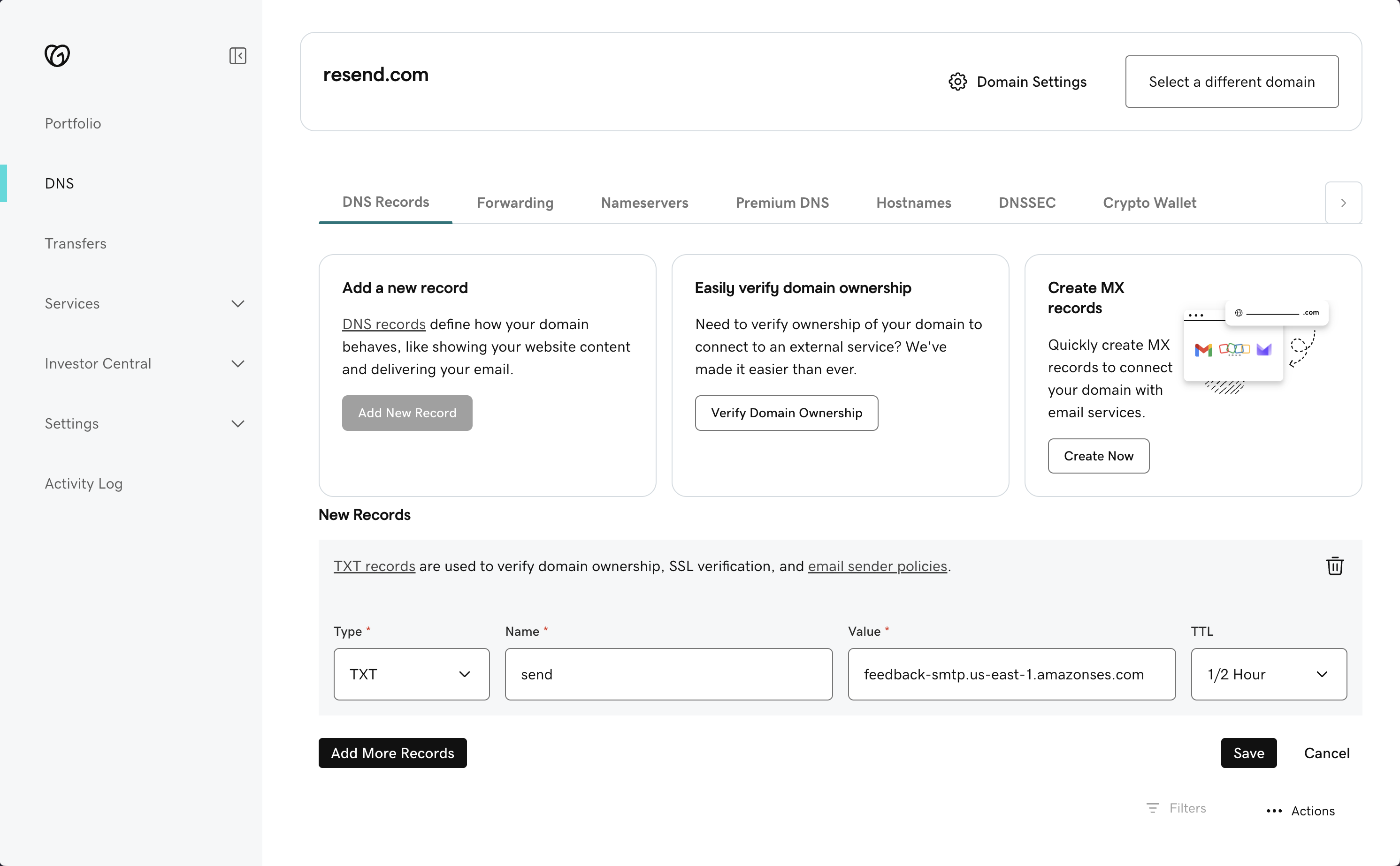 Domain Details